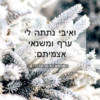 Picture 07 - תהלים 18:40 HEB - ואיבי נתתה לי ערף ומשנאי - Bible Verse Picture
