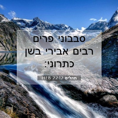 Picture 07 - תהלים 22:12 HEB - סבבוני פרים רבים אבירי בשן - Bible Verse Picture