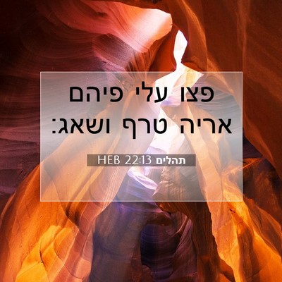 Picture 07 - תהלים 22:13 HEB - פצו עלי פיהם אריה טרף - Bible Verse Picture
