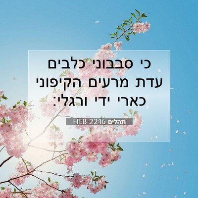 Picture 07 - תהלים 22:16 HEB - כי סבבוני כלבים עדת מרעים - Bible Verse Picture