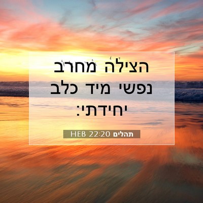 Picture 07 - תהלים 22:20 HEB - הצילה מחרב נפשי מיד כלב - Bible Verse Picture