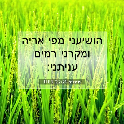 Picture 07 - תהלים 22:21 HEB - הושיעני מפי אריה ומקרני - Bible Verse Picture