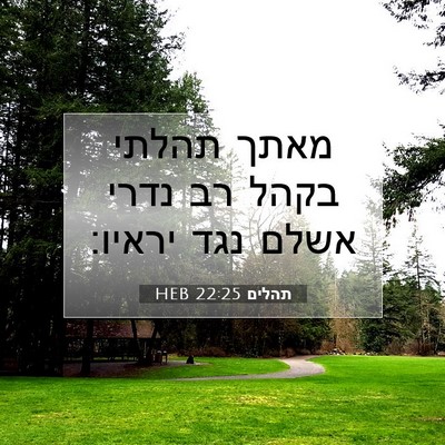 Picture 07 - תהלים 22:25 HEB - מאתך תהלתי בקהל רב נדרי - Bible Verse Picture
