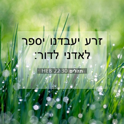 Picture 07 - תהלים 22:30 HEB - זרע יעבדנו יספר לאדני - Bible Verse Picture