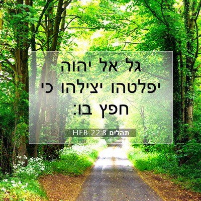 Picture 07 - תהלים 22:8 HEB - גל אל יהוה יפלטהו יצילהו כי - Bible Verse Picture