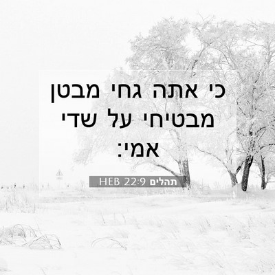 Picture 07 - תהלים 22:9 HEB - כי אתה גחי מבטן מבטיחי על - Bible Verse Picture
