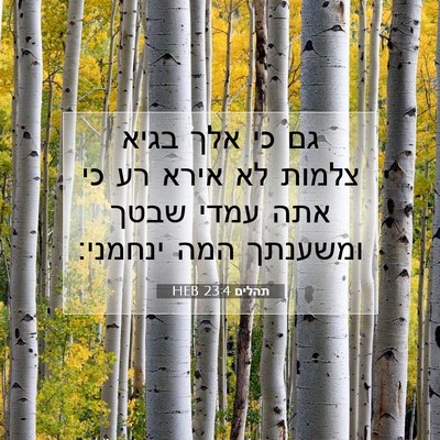 Picture 07 - תהלים 23:4 HEB - גם כי אלך בגיא צלמות לא - Bible Verse Picture
