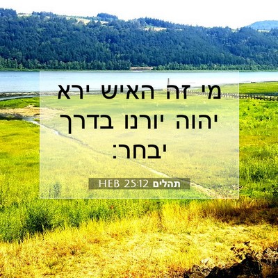 Picture 07 - תהלים 25:12 HEB - מי זה האיש ירא יהוה יורנו - Bible Verse Picture