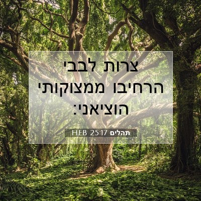 Picture 07 - תהלים 25:17 HEB - צרות לבבי הרחיבו ממצוקותי - Bible Verse Picture