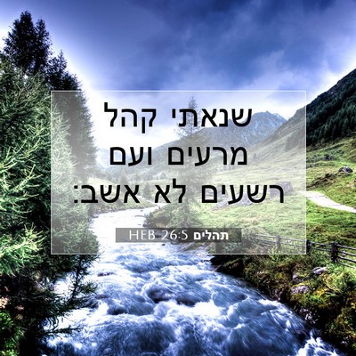 Picture 07 - תהלים 26:5 HEB - שנאתי קהל מרעים ועם רשעים - Bible Verse Picture