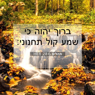 Picture 07 - תהלים 28:6 HEB - ברוך יהוה כי שמע קול - Bible Verse Picture
