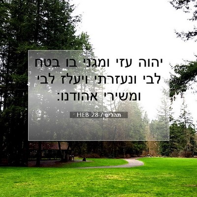 Picture 07 - תהלים 28:7 HEB - יהוה עזי ומגני בו בטח לבי - Bible Verse Picture