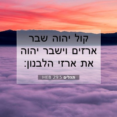 Picture 07 - תהלים 29:5 HEB - קול יהוה שבר ארזים וישבר - Bible Verse Picture
