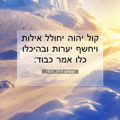 Picture 07 - תהלים 29:9 HEB - קול יהוה יחולל אילות ויחשף - Bible Verse Picture