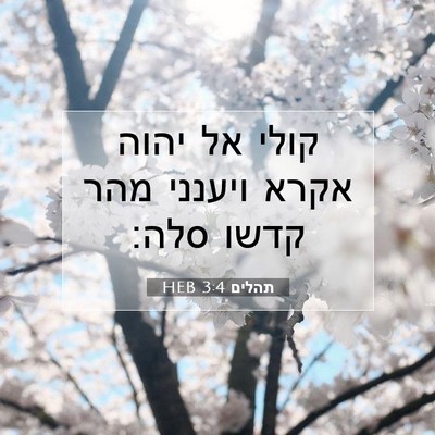 Picture 07 - תהלים 3:4 HEB - קולי אל יהוה אקרא ויענני - Bible Verse Picture