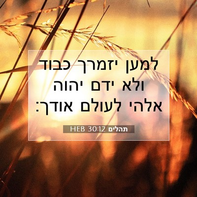 Picture 07 - תהלים 30:12 HEB - למען יזמרך כבוד ולא ידם - Bible Verse Picture