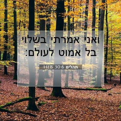 Picture 07 - תהלים 30:6 HEB - ואני אמרתי בשלוי בל אמוט - Bible Verse Picture