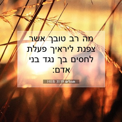 Picture 07 - תהלים 31:19 HEB - מה רב טובך אשר צפנת ליראיך - Bible Verse Picture