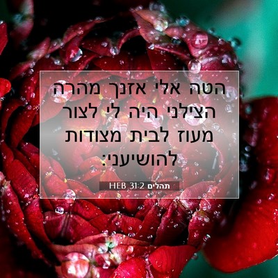 Picture 07 - תהלים 31:2 HEB - הטה אלי אזנך מהרה הצילני - Bible Verse Picture