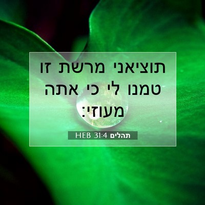 Picture 07 - תהלים 31:4 HEB - תוציאני מרשת זו טמנו לי כי - Bible Verse Picture