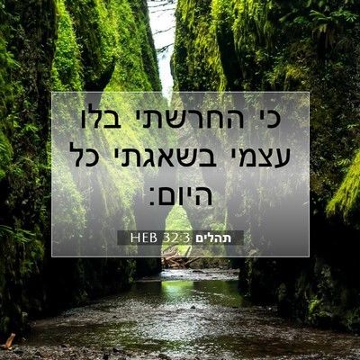 Picture 07 - תהלים 32:3 HEB - כי החרשתי בלו עצמי בשאגתי - Bible Verse Picture