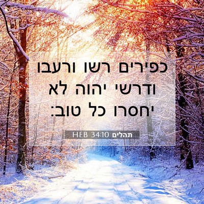 Picture 07 - תהלים 34:10 HEB - כפירים רשו ורעבו ודרשי - Bible Verse Picture
