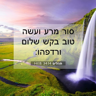 Picture 07 - תהלים 34:14 HEB - סור מרע ועשה טוב בקש שלום - Bible Verse Picture