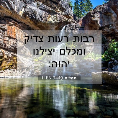 Picture 07 - תהלים 34:19 HEB - רבות רעות צדיק ומכלם - Bible Verse Picture