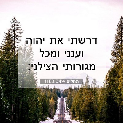 Picture 07 - תהלים 34:4 HEB - דרשתי את יהוה וענני ומכל - Bible Verse Picture