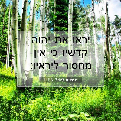 Picture 07 - תהלים 34:9 HEB - יראו את יהוה קדשיו כי אין - Bible Verse Picture