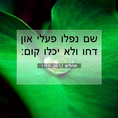 Picture 07 - תהלים 36:12 HEB - שם נפלו פעלי און דחו ולא - Bible Verse Picture