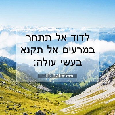 Picture 07 - תהלים 37:1 HEB - לדוד אל תתחר במרעים אל תקנא - Bible Verse Picture