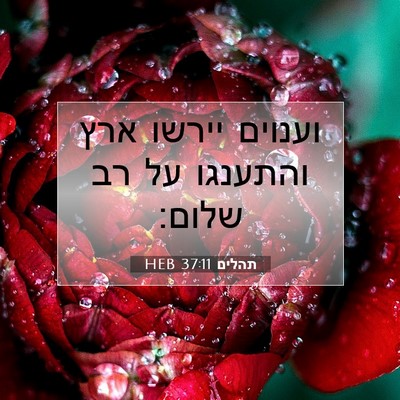 Picture 07 - תהלים 37:11 HEB - וענוים יירשו ארץ והתענגו - Bible Verse Picture