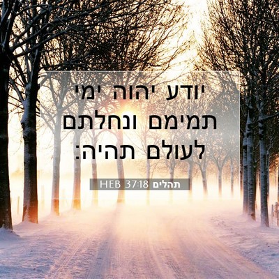Picture 07 - תהלים 37:18 HEB - יודע יהוה ימי תמימם ונחלתם - Bible Verse Picture