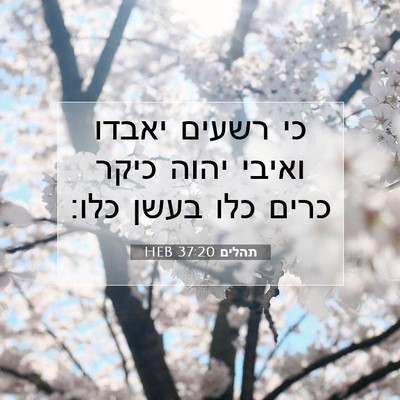 Picture 07 - תהלים 37:20 HEB - כי רשעים יאבדו ואיבי יהוה - Bible Verse Picture