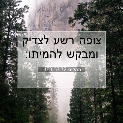 Picture 07 - תהלים 37:32 HEB - צופה רשע לצדיק ומבקש - Bible Verse Picture
