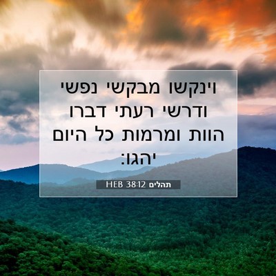 Picture 07 - תהלים 38:12 HEB - וינקשו מבקשי נפשי ודרשי - Bible Verse Picture