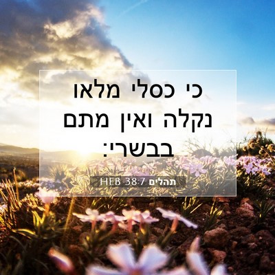 Picture 07 - תהלים 38:7 HEB - כי כסלי מלאו נקלה ואין מתם - Bible Verse Picture