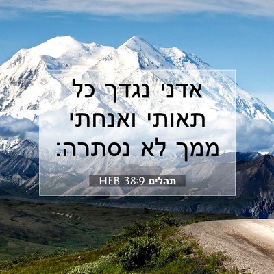 Picture 07 - תהלים 38:9 HEB - אדני נגדך כל תאותי ואנחתי - Bible Verse Picture