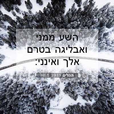 Picture 07 - תהלים 39:13 HEB - השע ממני ואבליגה בטרם אלך - Bible Verse Picture