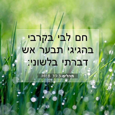 Picture 07 - תהלים 39:3 HEB - חם לבי בקרבי בהגיגי תבער אש - Bible Verse Picture