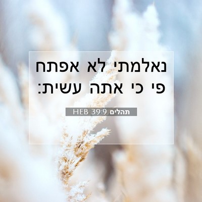 Picture 07 - תהלים 39:9 HEB - נאלמתי לא אפתח פי כי אתה - Bible Verse Picture