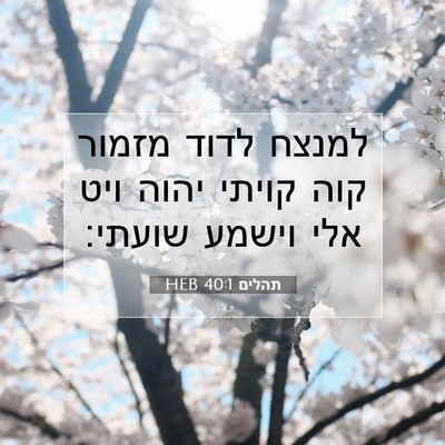Picture 07 - תהלים 40:1 HEB - למנצח לדוד מזמור קוה קויתי - Bible Verse Picture