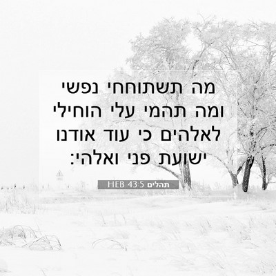 Picture 07 - תהלים 43:5 HEB - מה תשתוחחי נפשי ומה תהמי - Bible Verse Picture