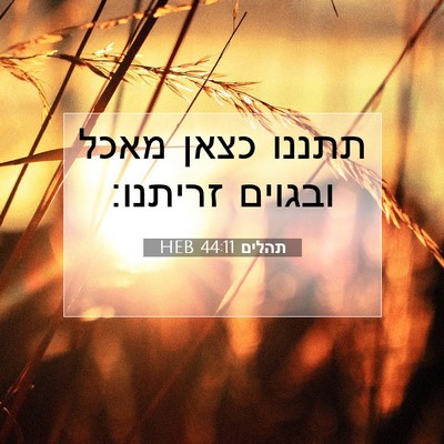 Picture 07 - תהלים 44:11 HEB - תתננו כצאן מאכל ובגוים - Bible Verse Picture