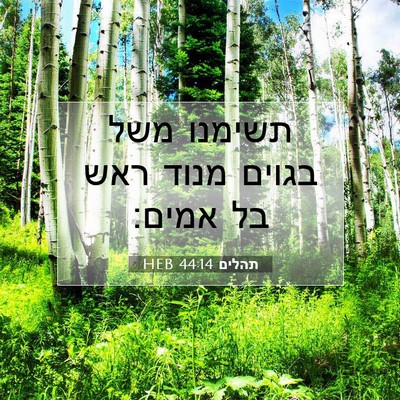 Picture 07 - תהלים 44:14 HEB - תשימנו משל בגוים מנוד ראש - Bible Verse Picture