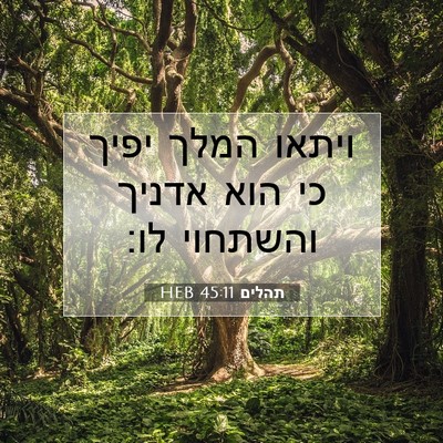 Picture 07 - תהלים 45:11 HEB - ויתאו המלך יפיך כי הוא - Bible Verse Picture
