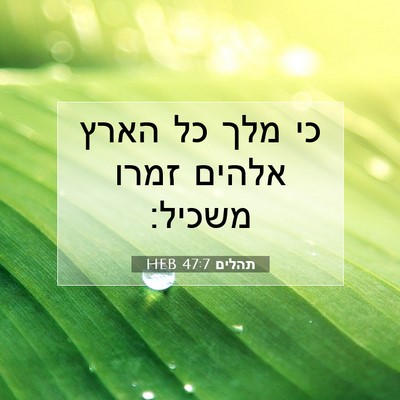 Picture 07 - תהלים 47:7 HEB - כי מלך כל הארץ אלהים זמרו - Bible Verse Picture