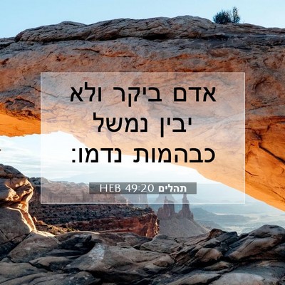 Picture 07 - תהלים 49:20 HEB - אדם ביקר ולא יבין נמשל - Bible Verse Picture