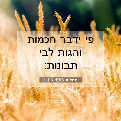 Picture 07 - תהלים 49:3 HEB - פי ידבר חכמות והגות לבי - Bible Verse Picture